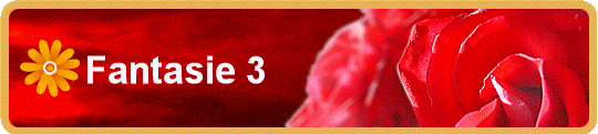 Fantasie 3