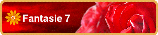 Fantasie 7